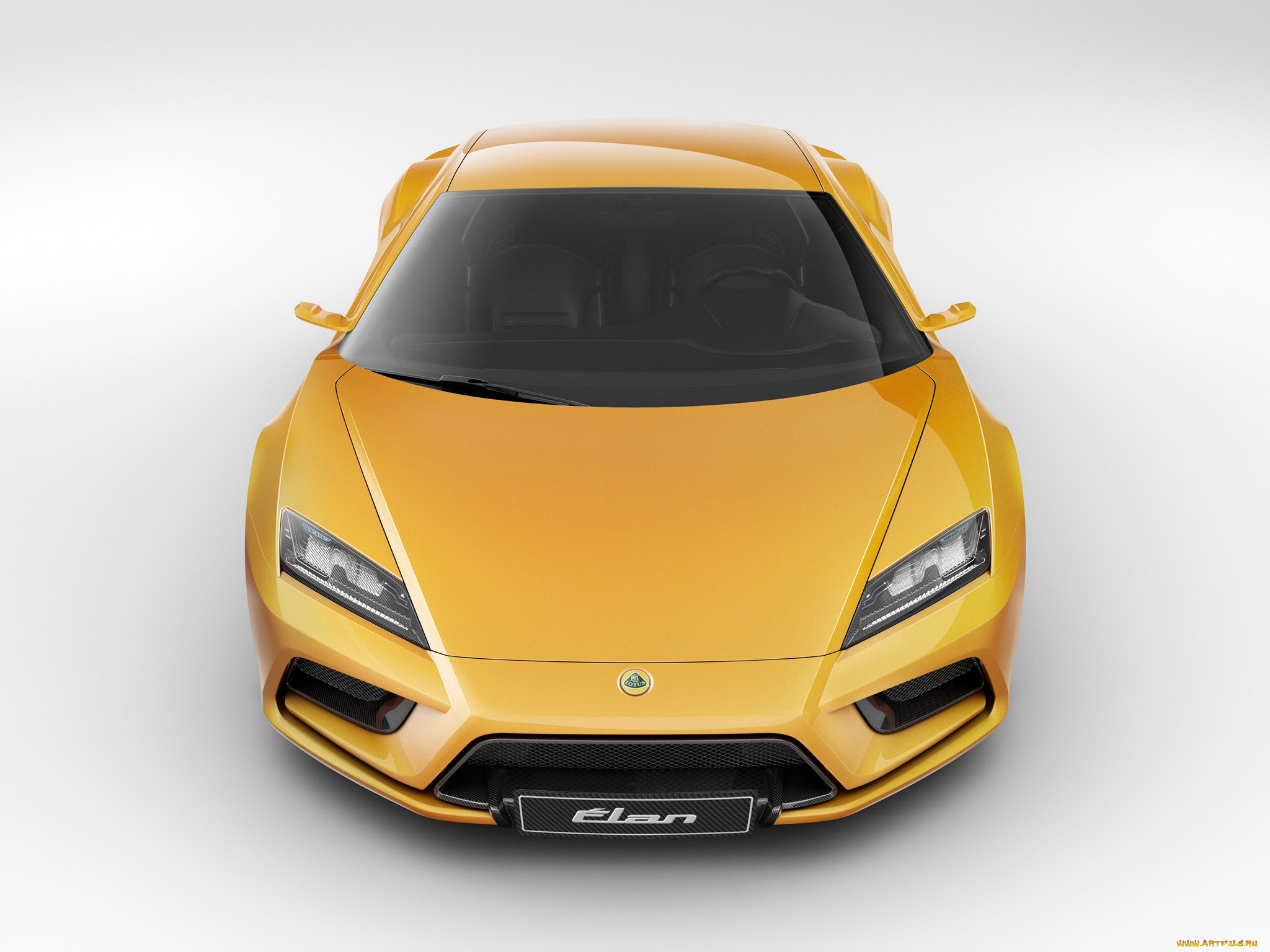 , lotus
